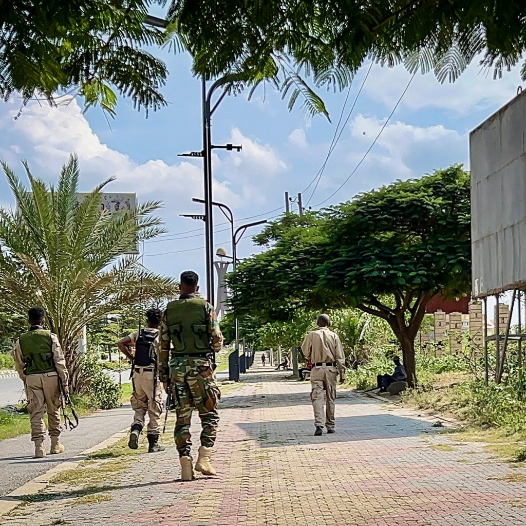 Will Ethiopia’s neighbours intervene as Tigray war
escalates?