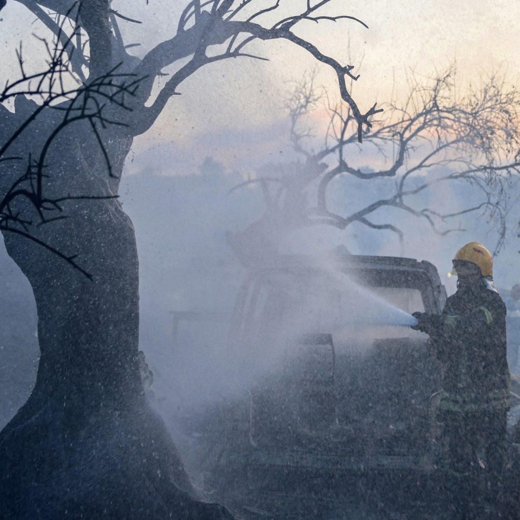 Palestine weekly: Olive harvest opens under assault