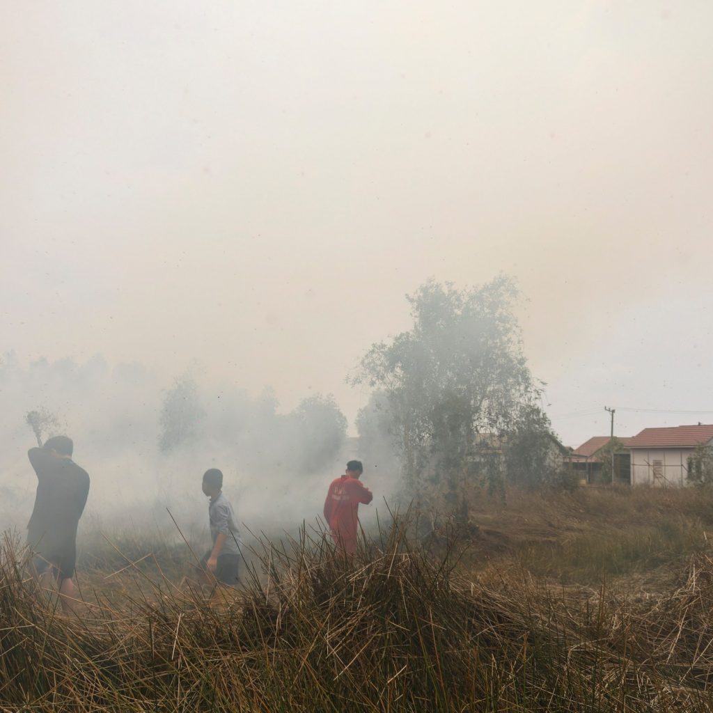 Smoke from wildfires killed 3,500 people in Indonesia in
September: Report