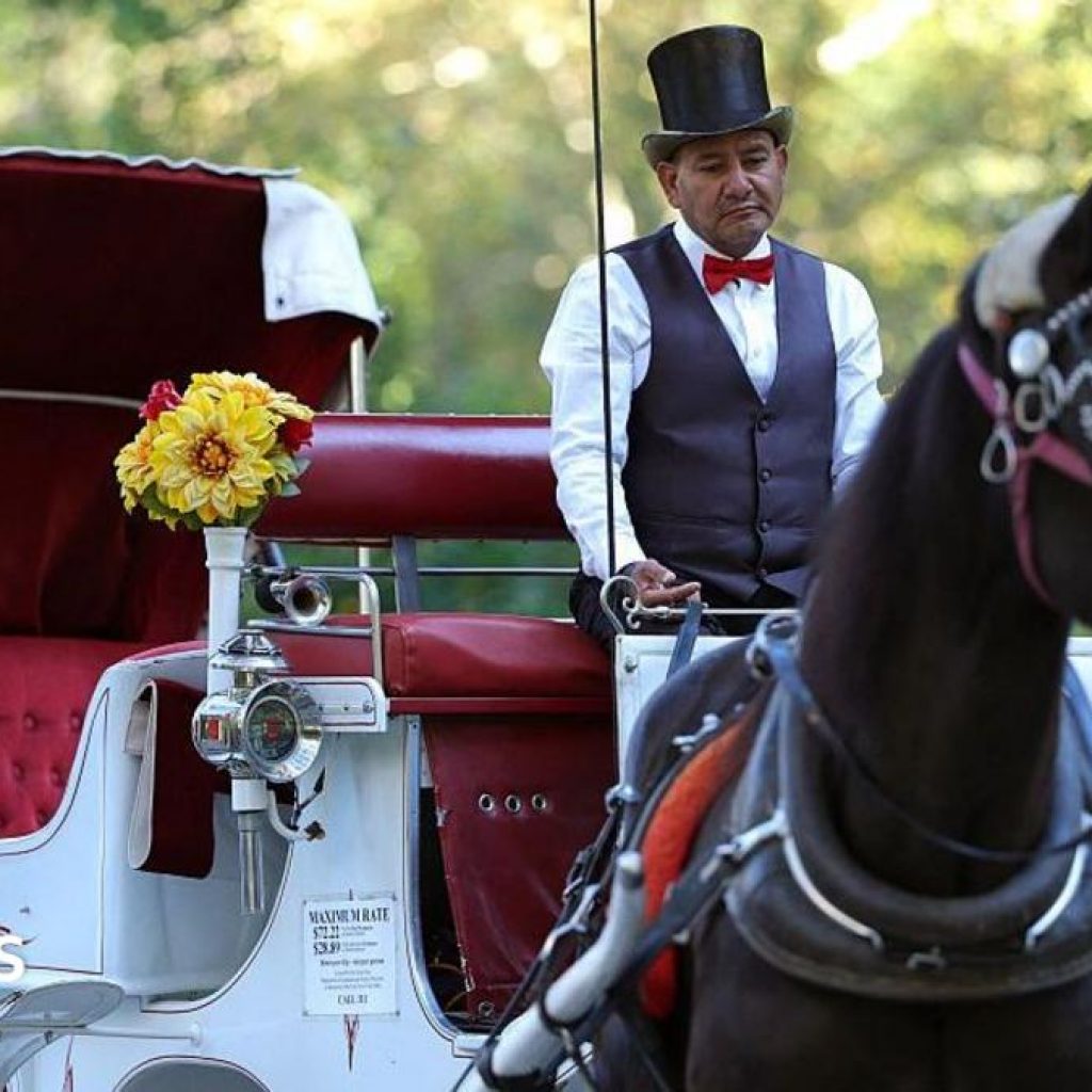 Some New Yorkers hail ban on horse-drawn carriages, but
drivers fear for incomes