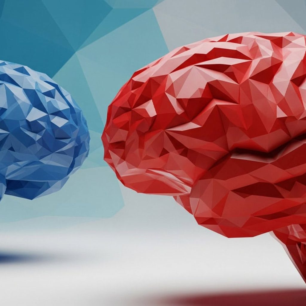 Conservatives’ more rigid thinking styles don’t seem to make them likelier than liberals to toe the party line
