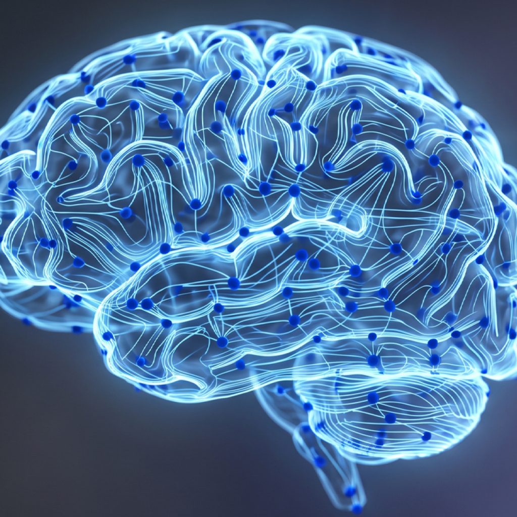 Brain scans reveal hyper-connected reward networks in autistic individuals
