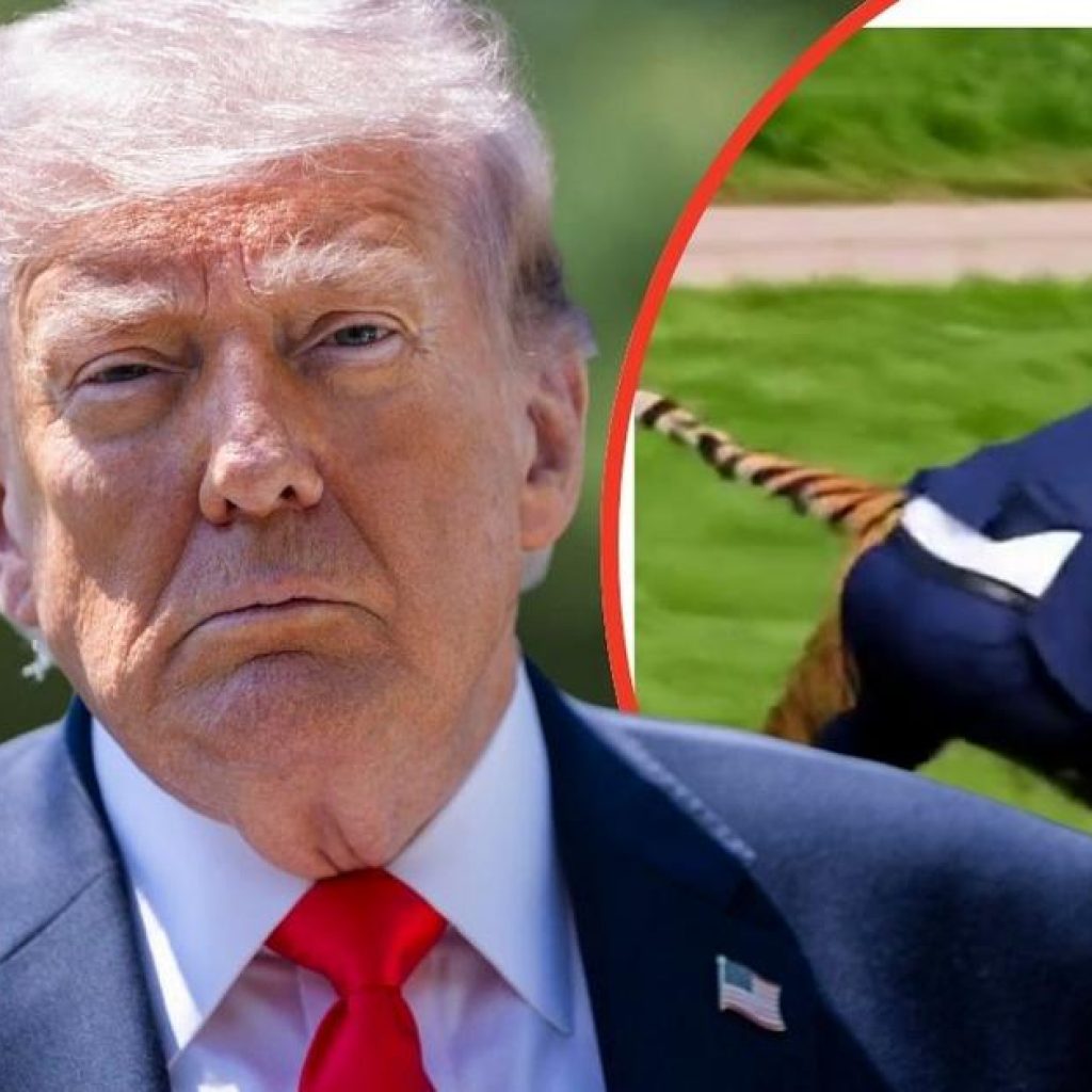 EXCLUSIVE: Donald Trump Slammed for Using Deadly Tiger
Attack for ‘Sick Clicks’