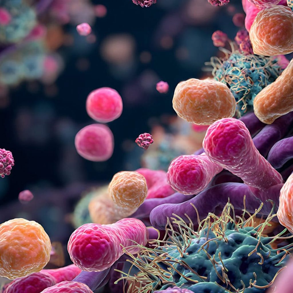 Gut bacteria and digestive metabolites are linked to psychopathic traits