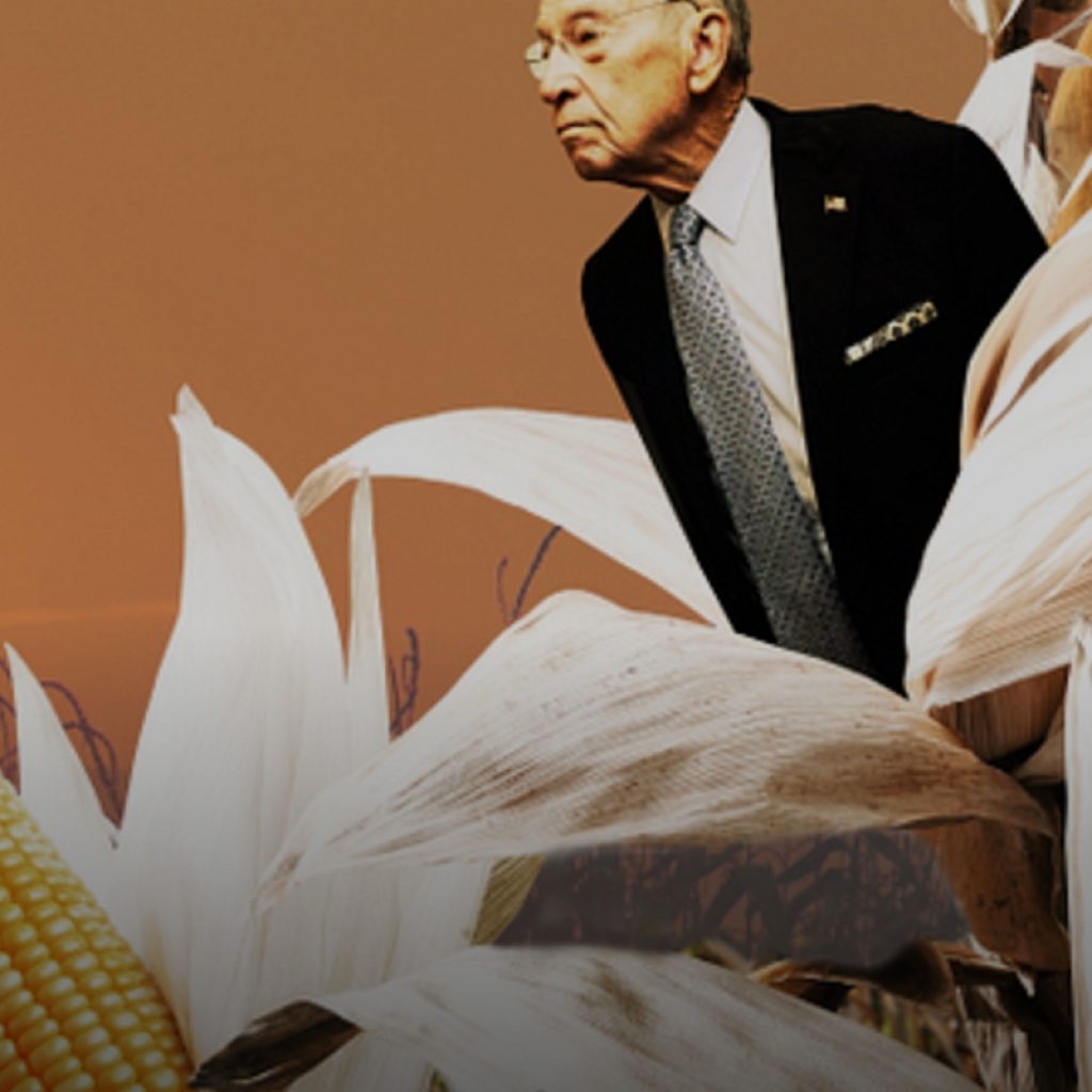 Iowa Wonders: What Happens If Grassley Dies?