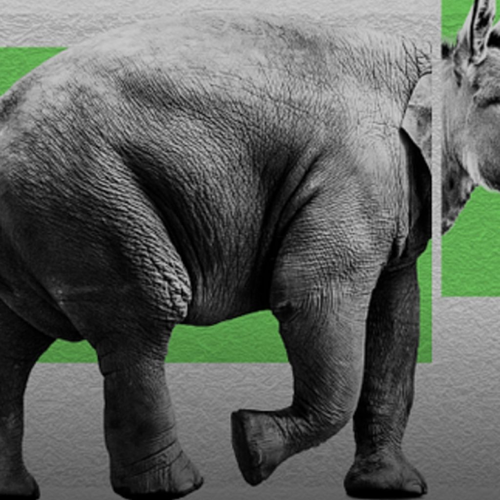 These Michigan ‘Democrats’ Come With Republican
Financing