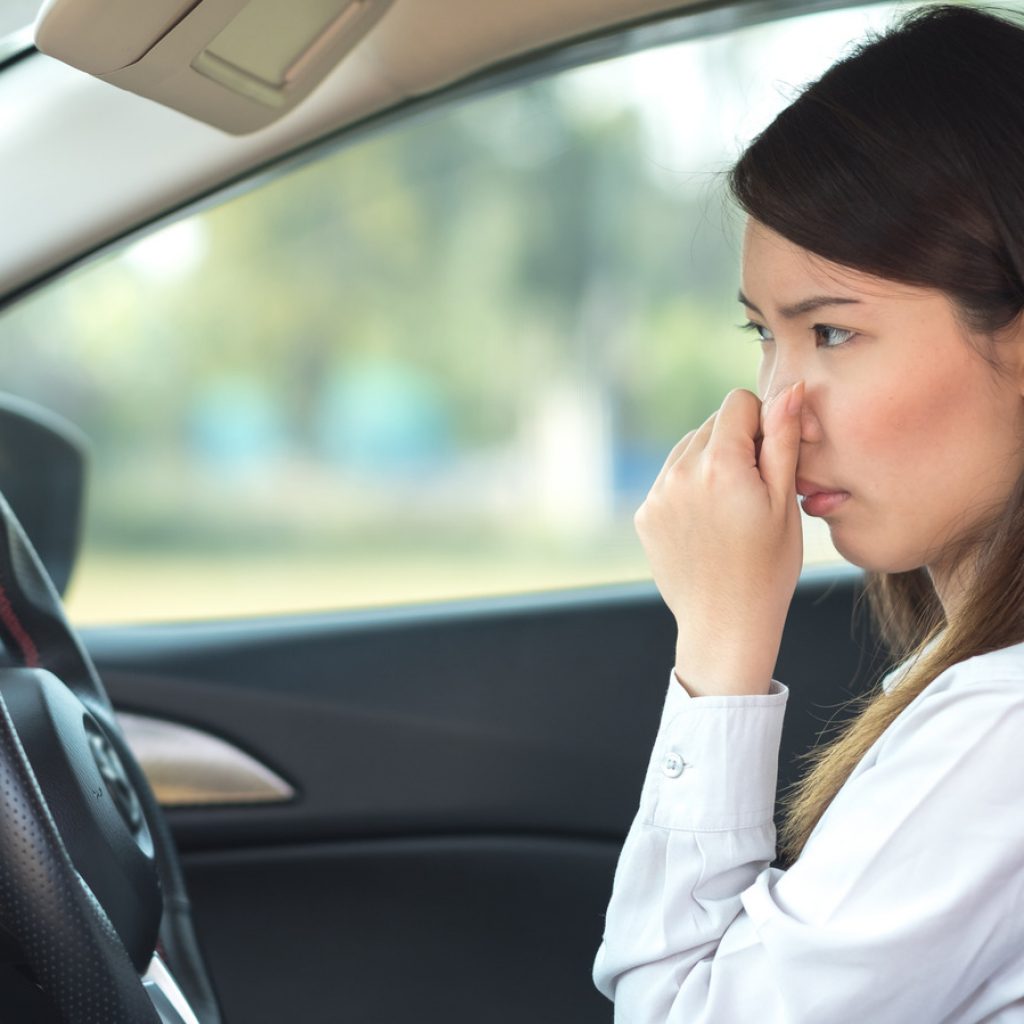 4 Reasons Why Cars Might Smell Like Rotten Eggs