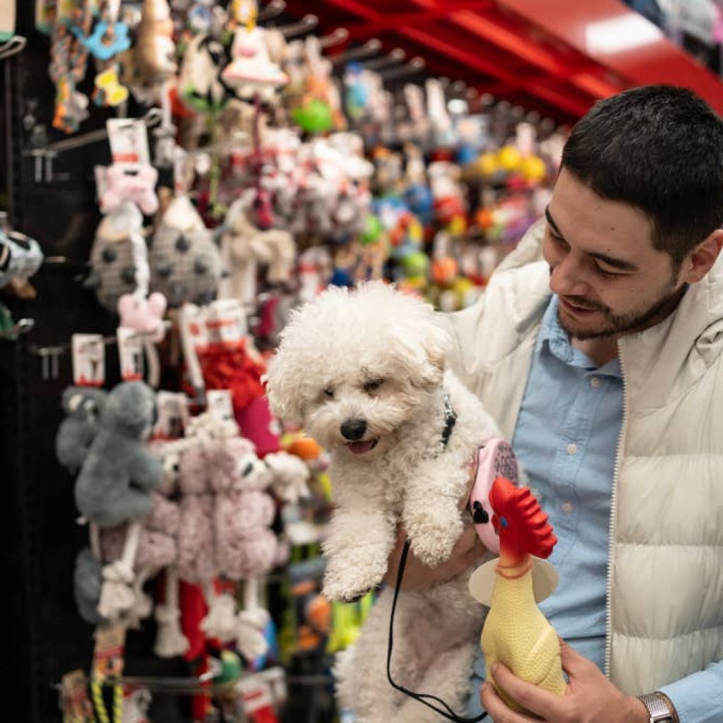 Pet store chain closures grow, as PetSmart shutters locations