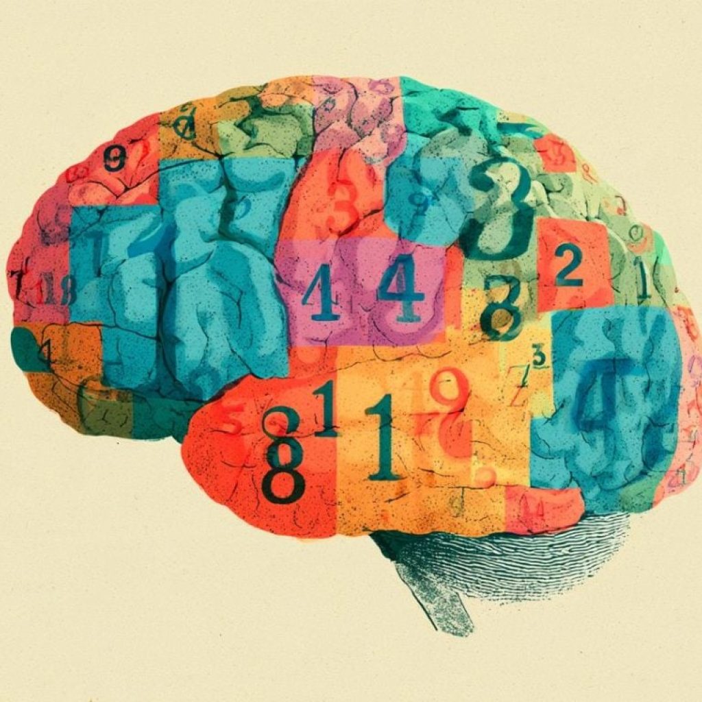 How the Brain Maps Every Number