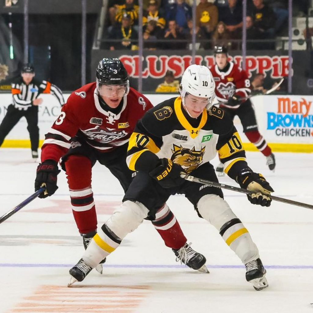 Why Spencer Hyman’s Brantford Bulldogs are the surprise of
OHL