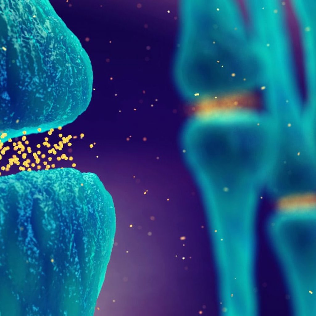 Psilocybin, LSD, and 2C-B leave different fingerprints on the brain, new study suggests