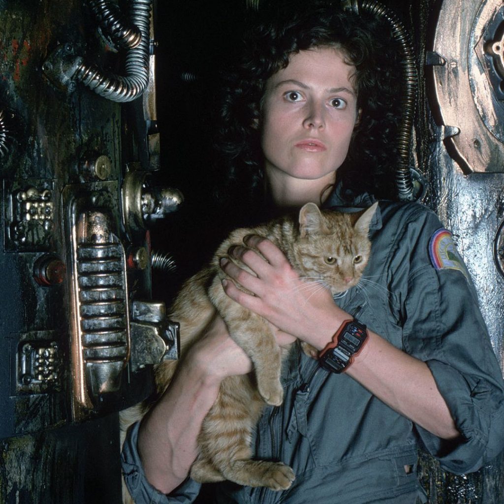 Ridley Scott’s New Alien Movie In the Works As Sci-Fi
Franchise Taps Writer