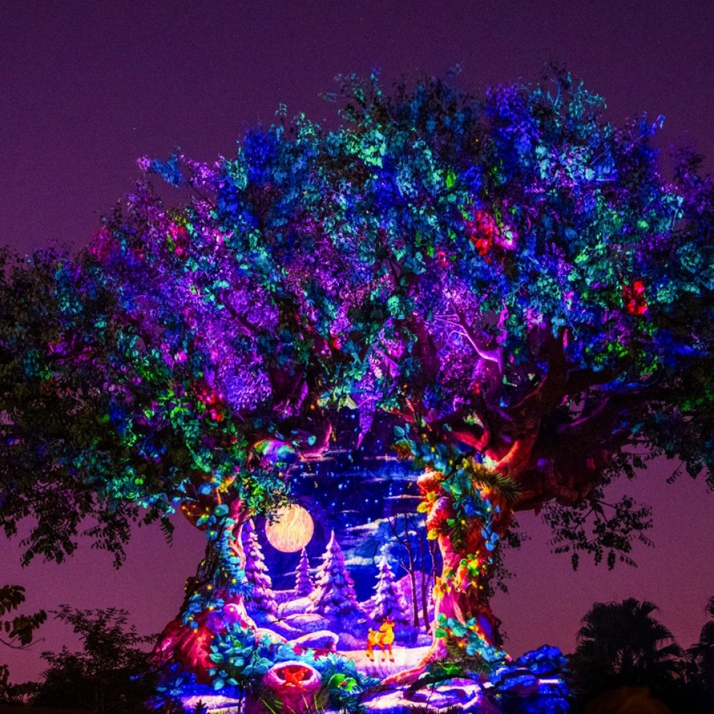 Tree of Life Awakenings Show Returns to Animal Kingdom Ahead
of Christmas 2026 with ‘Bonus’ Nights