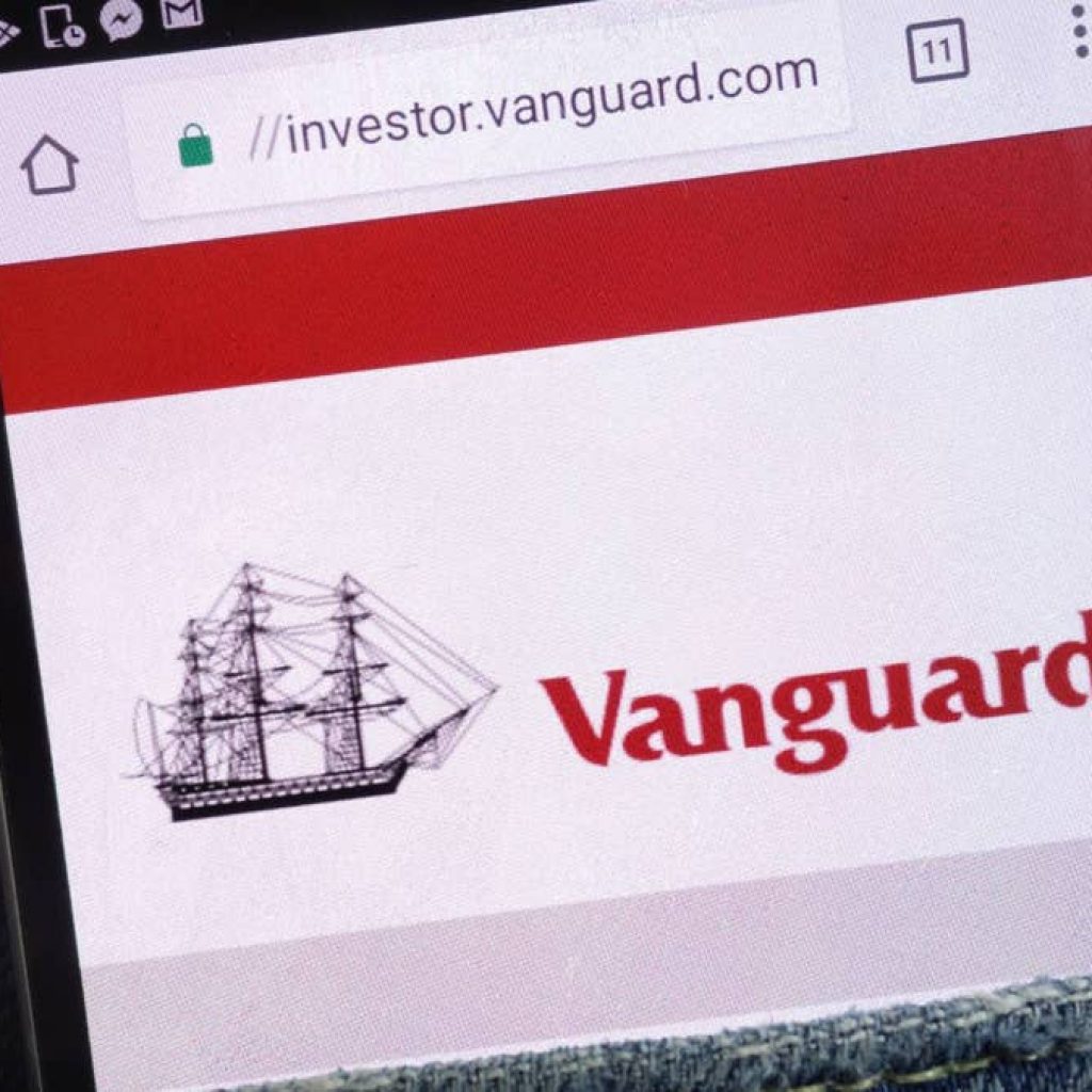 7 stocks control more than 25% of Vanguard Total Stock Market Index Fund