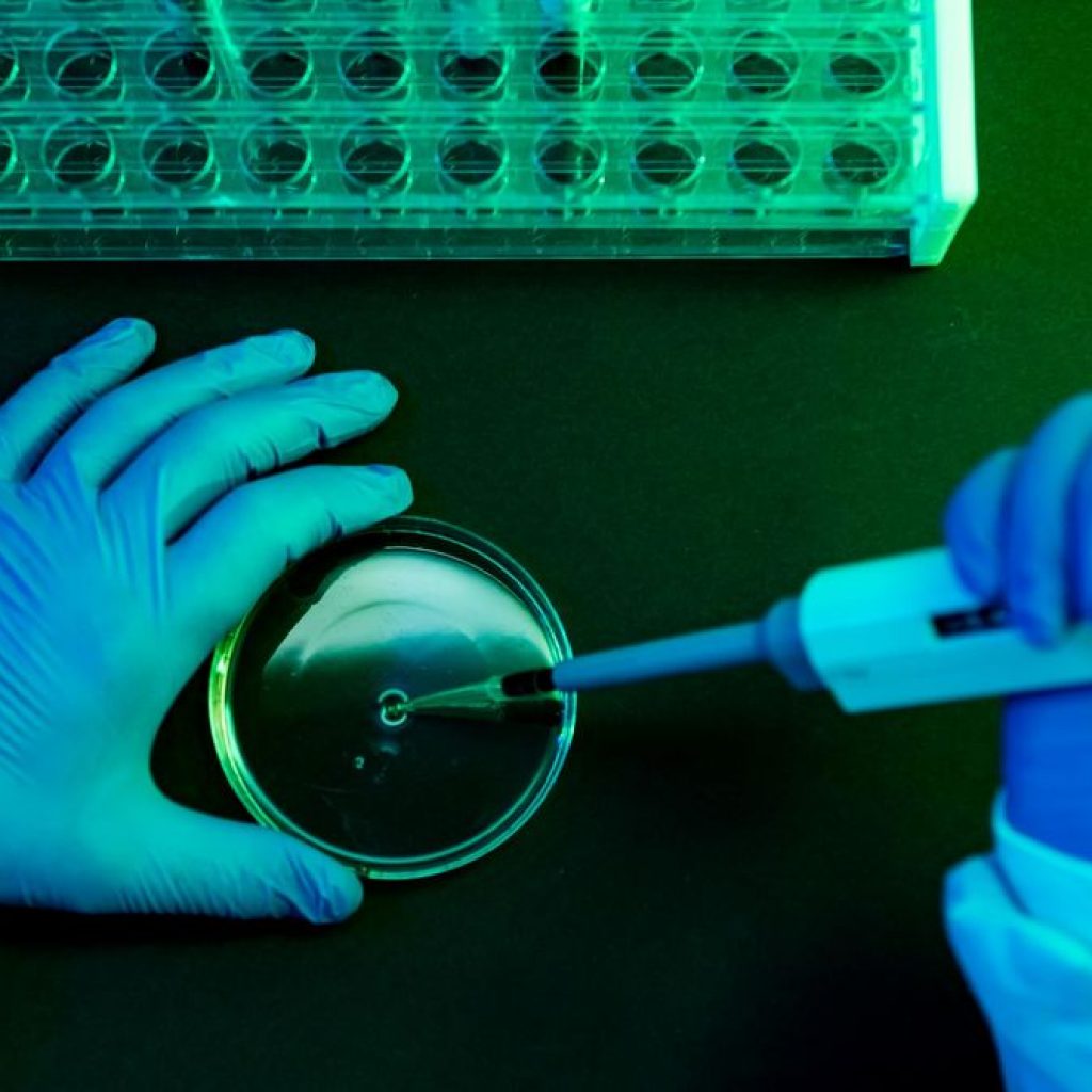 What to Know About Shamonda Virus Following the First
Reported Human Infection